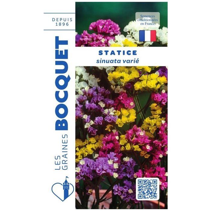 Graine - Semence - Statice sinuata varié
