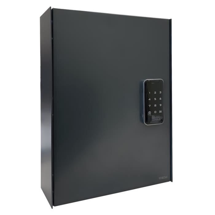 Armoire à clé - ARREGUI - KEYPRO PLPRO44 - Serrure électronique - 44 crochets - Usage partagé Armoire à clé - ARREGUI - KEYPRO PLPRO44 - Serrure électronique - 44 crochets - Usage partagé