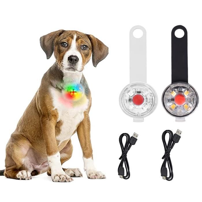 Lot De 2 Lumières LED Rechargeables Pour Chien GOMETY – 4 Modes, Clip, étanche IPX8, Autonomie 20h, Sécurité Nuit