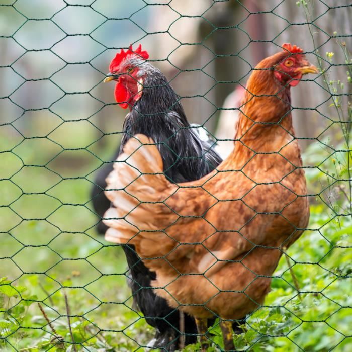IDMARKET Grillage pour poules vert 1x25M maille 13mm triple torsion clôture souple jardin animaux