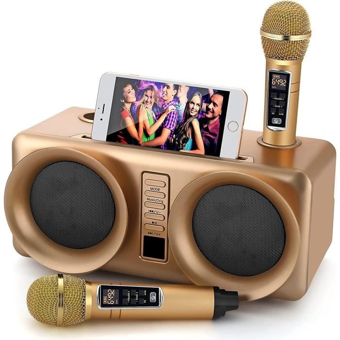 Microphone karaoké,kit Karaoke,Enceinte Portable Bluetooth Micro avec 2  Microphones sans Fil pour fête à la Maison, réunion, - Cdiscount Jeux -  Jouets
