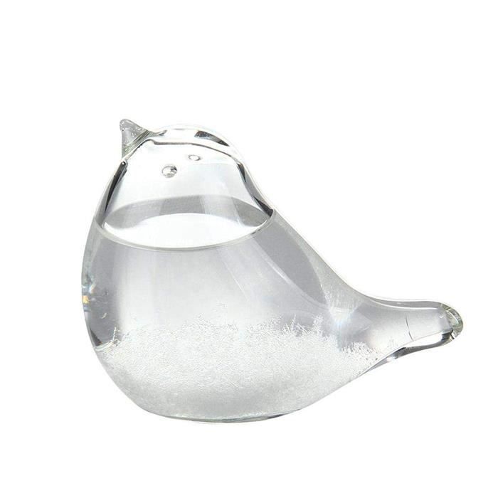 Viitech Storm Glass Verre Tempête Stations, Globe Forme Bouteille de