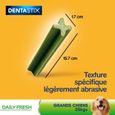 PEDIGREE Dentastix Fresh Friandises à mâcher grand chien 7 sticks dentaires(1x7)-3