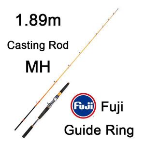Canne peche 200g Achat Vente pas cher 99% Carbone 2 Section Lente Gabarit Tige Canne À Pêche FUJI