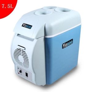 Mini Glaciere Electrique Achat Vente Pas Cher