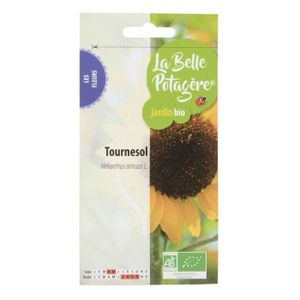 GRAINE - SEMENCE Graines à semer - Tournesol - LA BELLE POTAGERE - Plante fleurie - Fleurs - Jaune