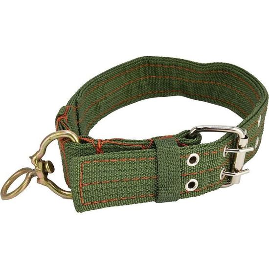Y&Z Enterprises Collier de selle en cuir de qualité supérieure pour cheval de course - Avec licol en cuir assorti, rênes