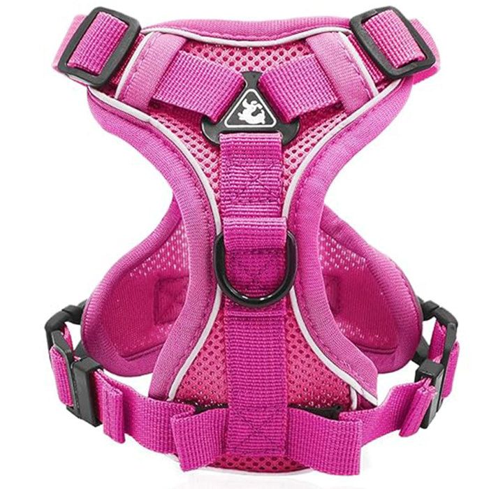 Meilleurs prix pour Harnais réglable pour chat anti-fuite avec laisse souple pour chats chatons chiens et chiots (Rose-M)