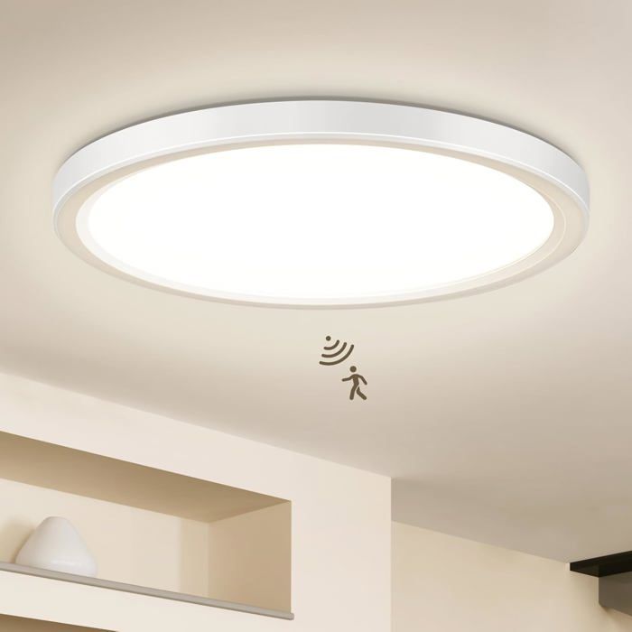 Lampe Plafonnier avec Détecteur de Mouvement Intérieur (＞35LM pas de mouvement la lumière est éteinte) 1 DETECTEUR DINONDATION