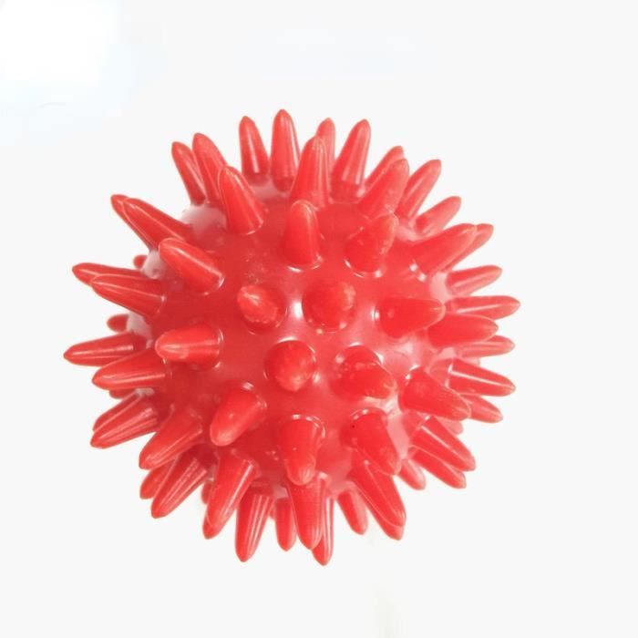 Lot De 2 Dosettes Équilibre Hérisson Avec Pompe - Coussin Ballon Fitness Demi-Picots Massage Stabilité Yoga
