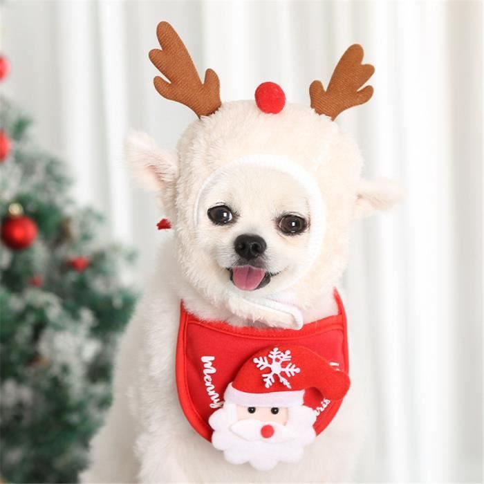 Vetement de noel pour chien best sale