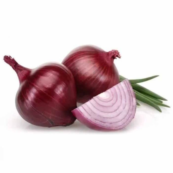Seed House 100 Pieces Graines D Oignon Ruby Heirloom Legumes A L Oignon Legumes Graines De Legumes Bulbes De Stuttgart Oignons Cdiscount Animalerie