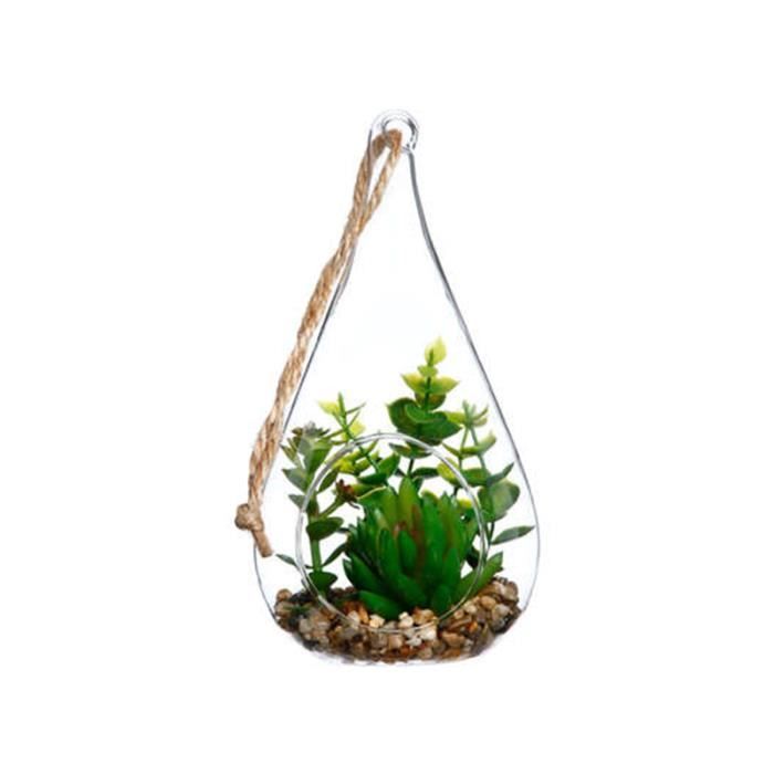 Meilleurs prix pour Terrarium en verre forme Goutte H19.5cm - SILUMEN - Crassulas - Vert - Transparent