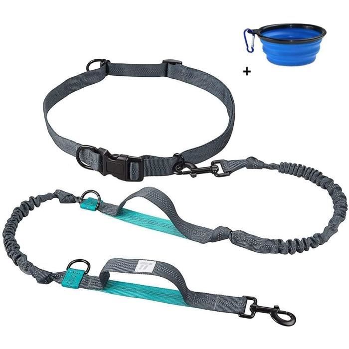 Ceinture de jogging avec laisse pour chien