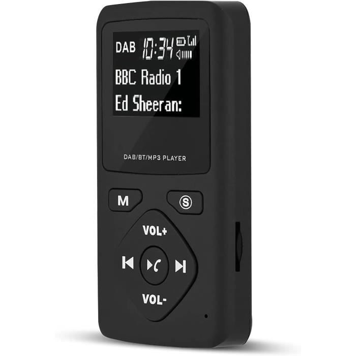 Batterie Li-Po 3,7V 1100mAh Pour Radio Sony XDR-P1DBP - Rechargeable - Remplacement Qualité