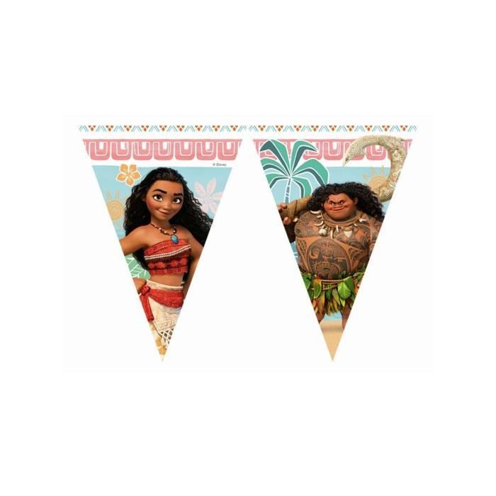 Decoration Anniversaire Vaiana Cdiscount