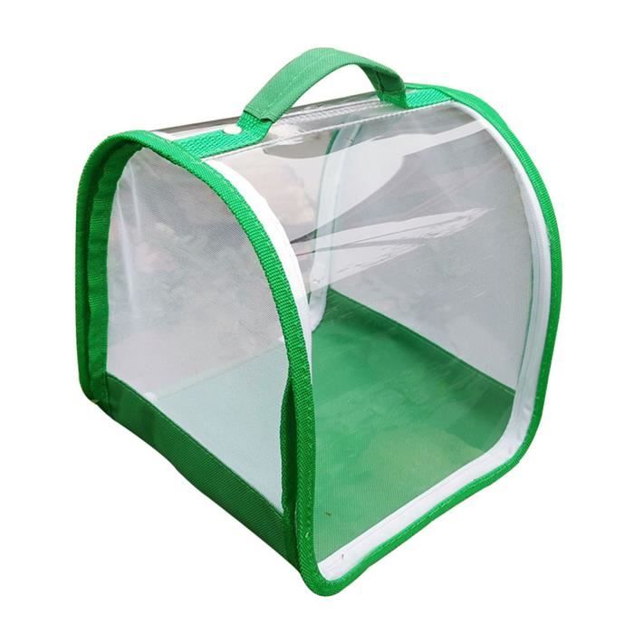 Enclos de cage d'habitat pour insectes et papillons Terrarium en filet