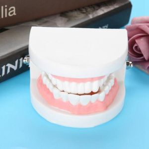 STELIDONT- Réaliser son Appareil Dentaire - Tout Dentaire