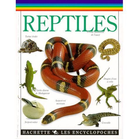 Reptiles - Achat / Vente livre Collectif HACHETTE JEUNESSE ...