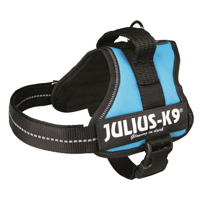Harnais Power Julius-K9 - Mini - M : 51-67 cm-28 mm - Aigue-marine - Pour chien