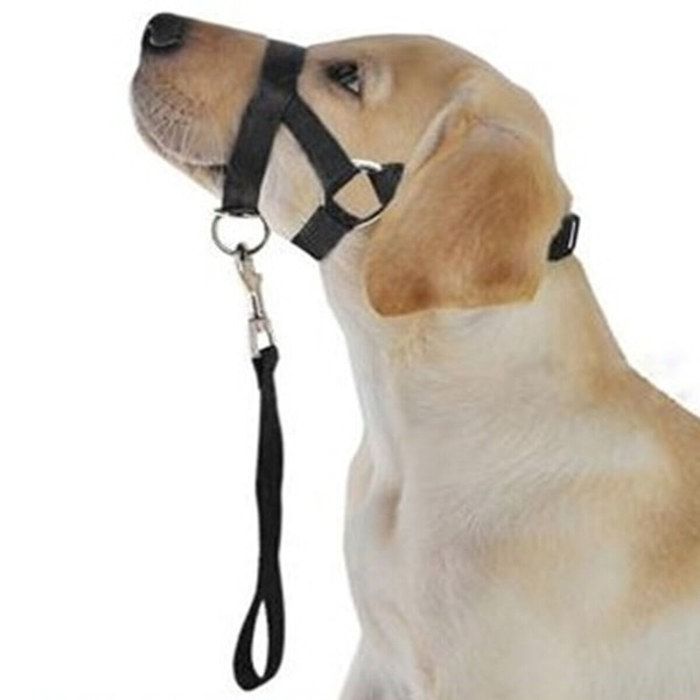 Comparer les prix de Licol pour chien Halti Collier de tte dentranement Gentle Leader Harnais Nylon L VHV