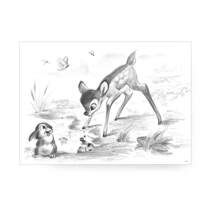 Toile Imprimee Disney Bambi Et Panpan 70 X 50cm Noir Blanc Cdiscount Maison Toile Imprimee Disney Bambi Et Panpan 70 X 50cm Noir Blanc Cdiscount Maison