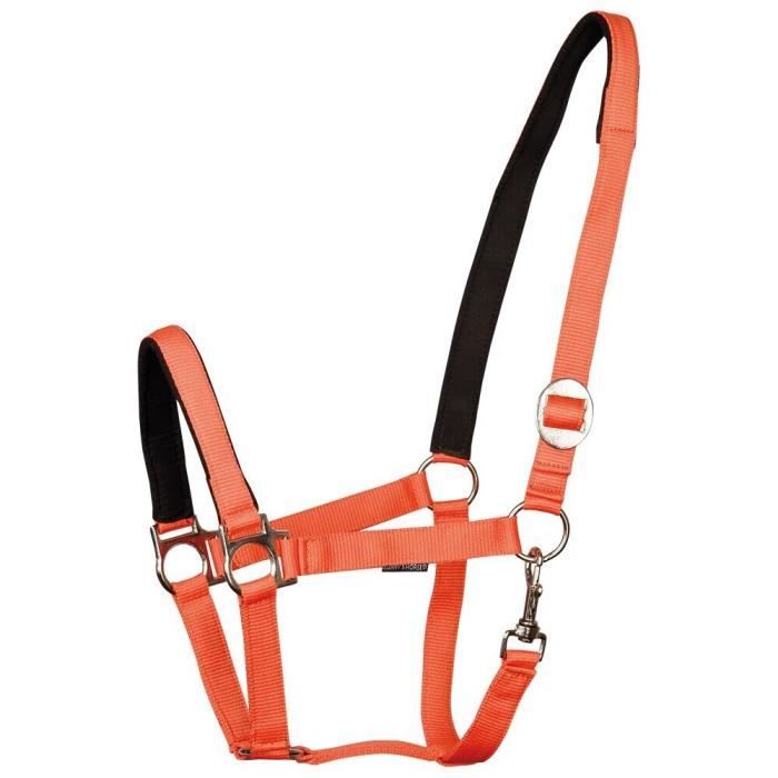 Porte Double Gamelles Surélevé 2 Bols En Acier Inoxydable Amovibles Noir Noir Cog07 1 Frb1