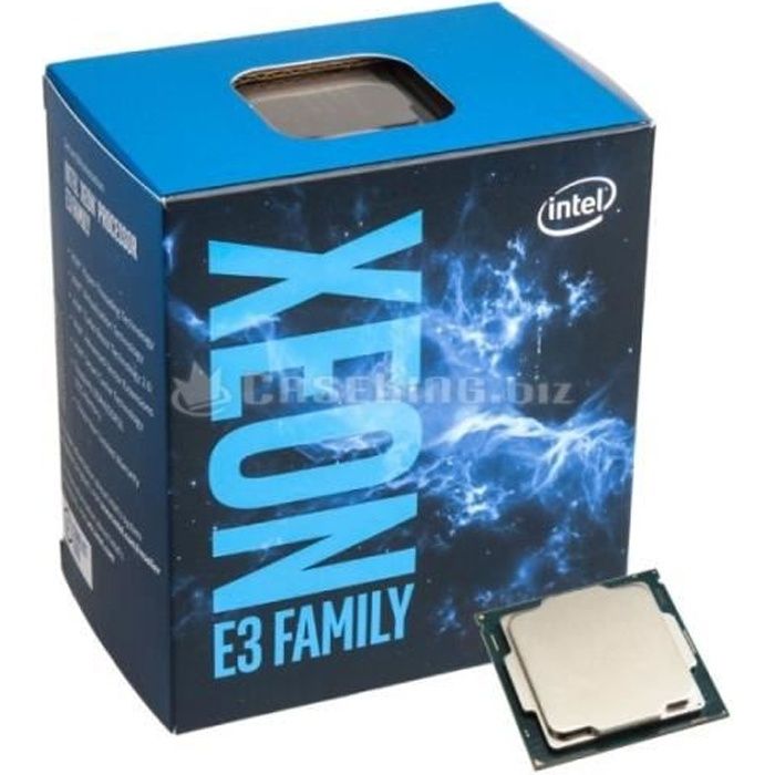 Achat Processeur PC INTEL Processeur Xeon E3-1220 v6 Quad-core - 3 GHz Pack - 8 Mo Cache - 14 nm - Socket H4 LGA-1151 pas cher