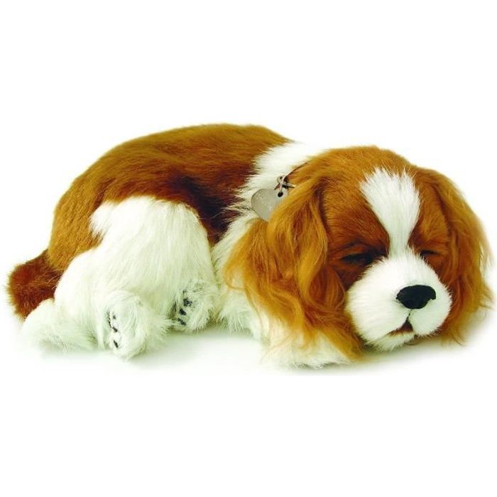 perfect petzzz - 4905 - peluche - chien epagneul cavalier king charles