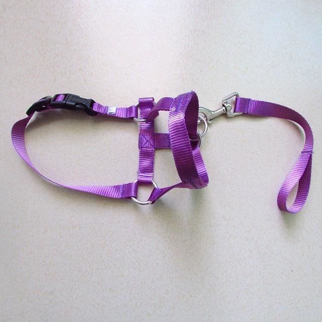 Lot De 2 Laisses De Cheval Pour Enfants Violet - Harnais Réglable Pour Jeux Équestres Et Rôle