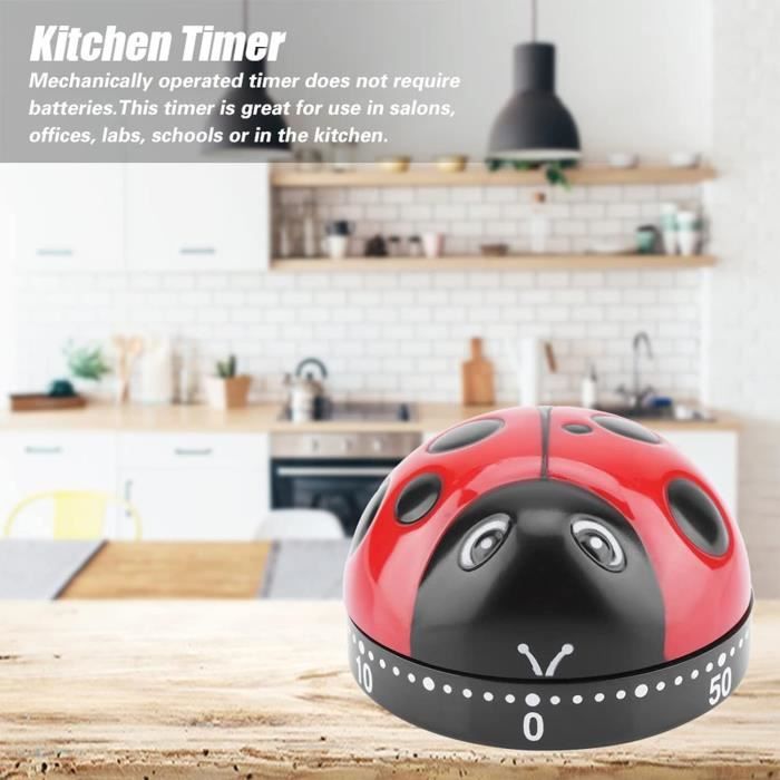 Minuteur De Cuisine Mécanique – Acier Inox 304, Aimanté, Alarme 85 DB – Sans Pile, Compte à Rebours Jusqu’à 60 Min