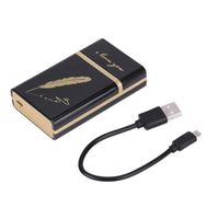 Duokon allume-cigare électrique portable Boîte à cigarettes portable avec briquet électrique rechargeable Super Mini USB (plume