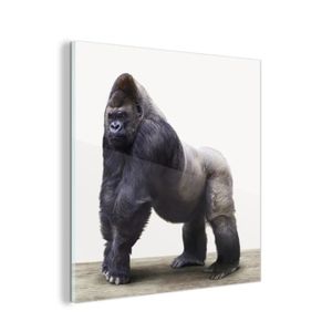 TABLEAU ENFANT MuchoWow - Impression sur verre Chambre de garçon robuste - Gorille Tableau decoration murale salon 50x50 cm Tableau sur verre -