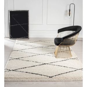 https://www.cdiscount.com/pdt2/5/4/3/1/300x300/the4251901299543/rw/the-carpet-bahar-shaggy-tapis-de-salon-a-poils-lon.jpg
