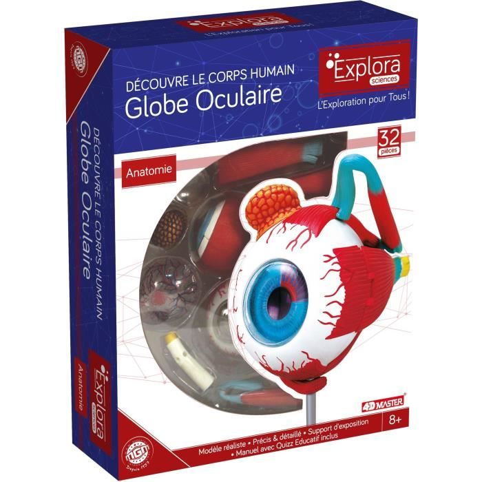 MGM - Explora - Anatomie de l'oeil - Expérience anatomie