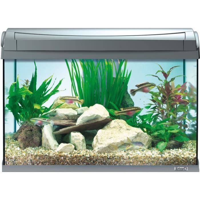 Aquarium Tetra AquaArt