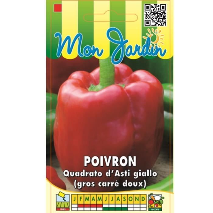 Sachet de Poivron Quadrato d'asti Giallo ( poivron gros carré doux ) - 3 g - légume fruit - LES GRAINES BOCQUET