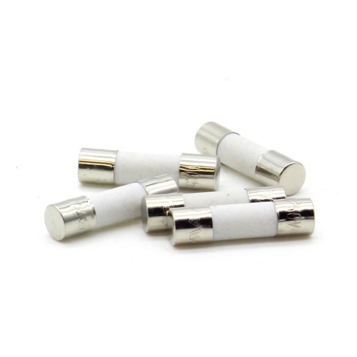 Lot Fusibles électroniques Pack De 10 Fusibles Temporisés T-80mA