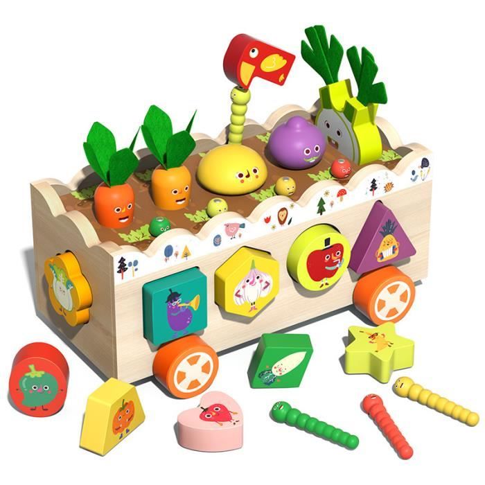 6 en 1 Jeux Montessori en Bois 2 3 an - Jouet Bebe 18 Mois, Jouet Enfant 1  2 an Récolte de Carottes Cadeau Bebe 1 2 an Garcon Fille - Cdiscount Jeux -  Jouets