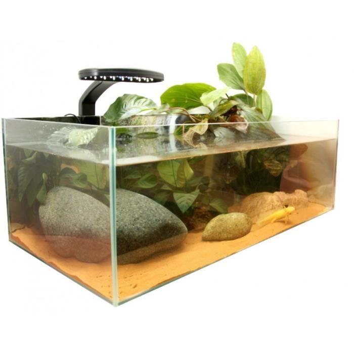 Starter Kit Axolotl 79x39x27 cm Exo Terra Cdiscount Animalerie