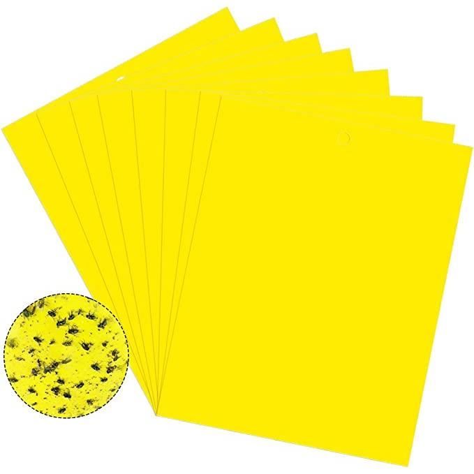 Ewtshop® Lot De 250 Cartes De Présentation Rectangulaires 200 X 100 Mm