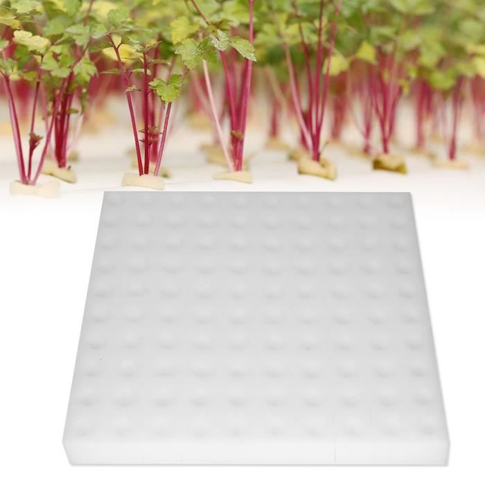 Éponge De Culture Hydroponique Iplusmile 30x20 Cm - Substrat Sans Sol Pour Semis, Germination De Légumes Et Fleurs - 10