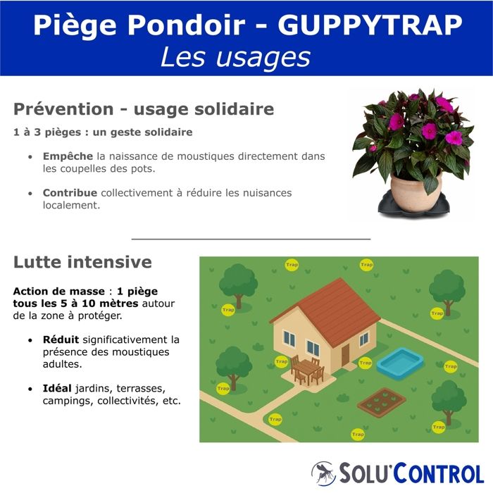 Guppy Trap – Piège Anti-Moustiques Écologique Pondoir Larves, Sans Produit Chimique, Fabriqué En France – Médaille D’Argent Concours Lépine 2023