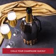Vacu Vin Refroidisseur rapide souple bouchon champagne-2
