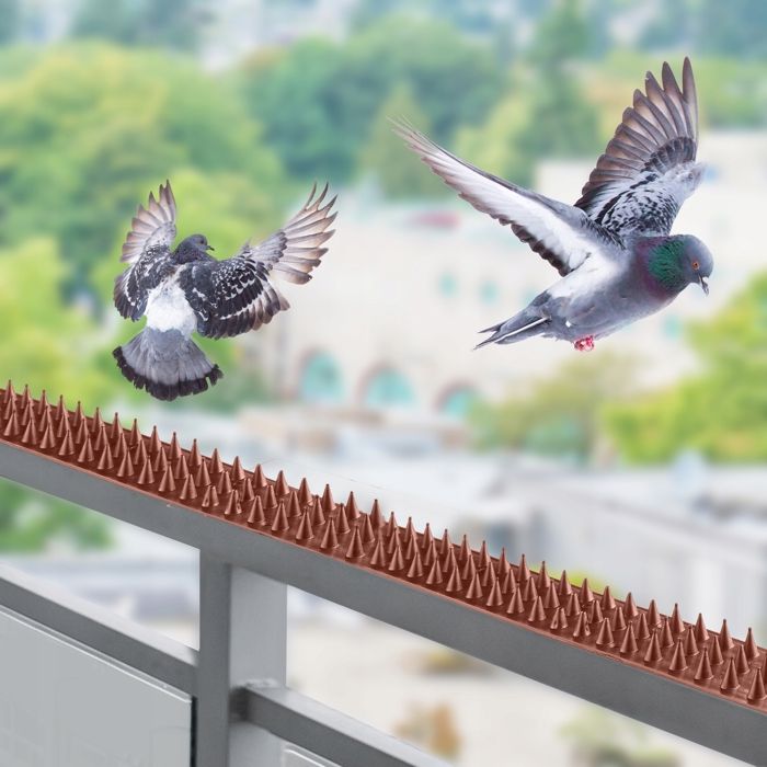 Pic Anti-Pigeon En Acier Inoxydable 4.5M Pack De 18 Modules