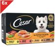 CESAR 24 Barquettes en terrine coeur de légumes pour chien 150g (6x4)-0