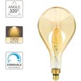 Ampoule LED Giant, G200, culot E27, 8W cons. (60W eq.), lumière blanc chaud-0