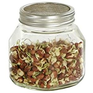 qc905 germoirs en verre ceramique blanc lot de 3 x 1000 ml cdiscount jardin