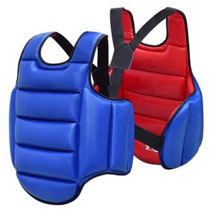 PROTÈGE-DOS Protection Dorsale,Costume de karaté de Taekwondo,gilet de soutien du dos,équipement de - Blue with Red-XS Height 100-130cm[A]