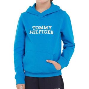 Sweat à capuche logo bleu clair homme - Tommy Hilfiger